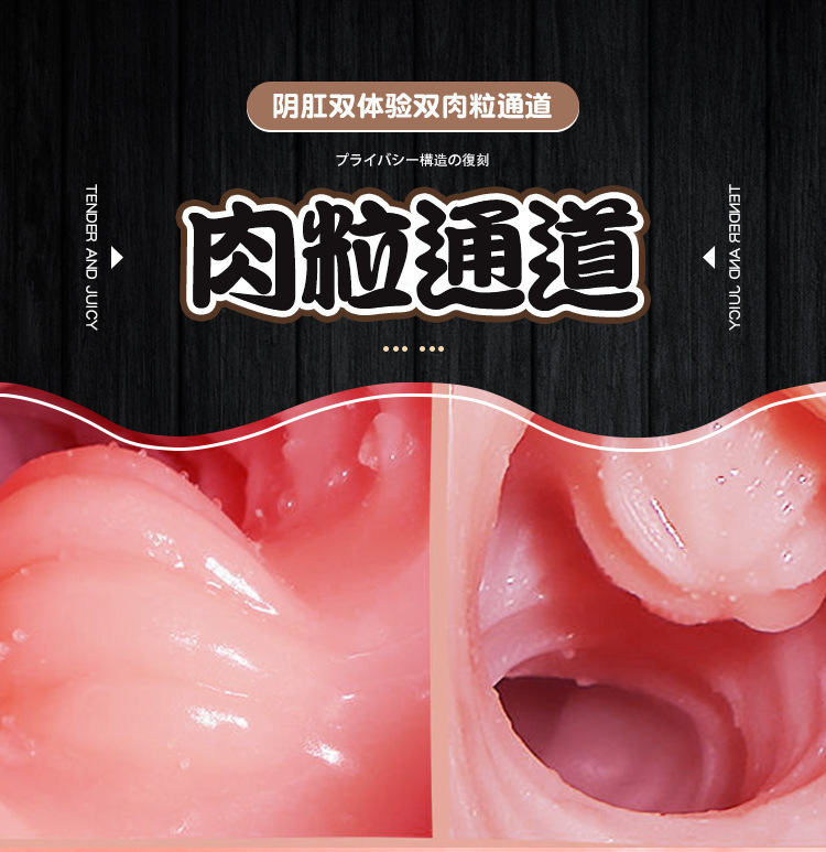 Half-Body Male Masturbator with Vaginal and Anal Channels, TPE Realistic Mold, Manual Use — detail image 10
