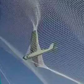 其他安全网;其他塑料网;球网