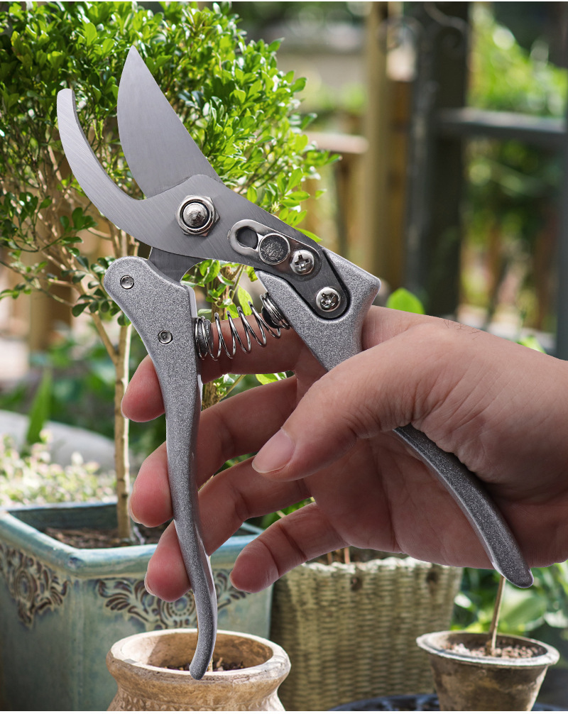 O1CN01QrbP6w1zhiVaNT8wK_!!2206