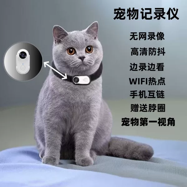 Pet package-supports mobile link viewing 16G white
