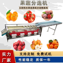 ����ɰ���ٷ��x�C �̗������x���C ���{�����x�ߴ����÷�ּ��C