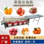 滚筒式轨道式商用橘子分选机