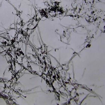 导电、导热碳纳米管 高纯多壁碳纳米管