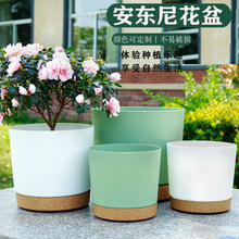 �h���谲�|�������ϻ���������¼�ֱͲ�A�ηNֲ�@ˇ���莧�бP