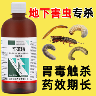 ������40%�����rș������º��x���x�\�x���x���Q�������x����ȫ