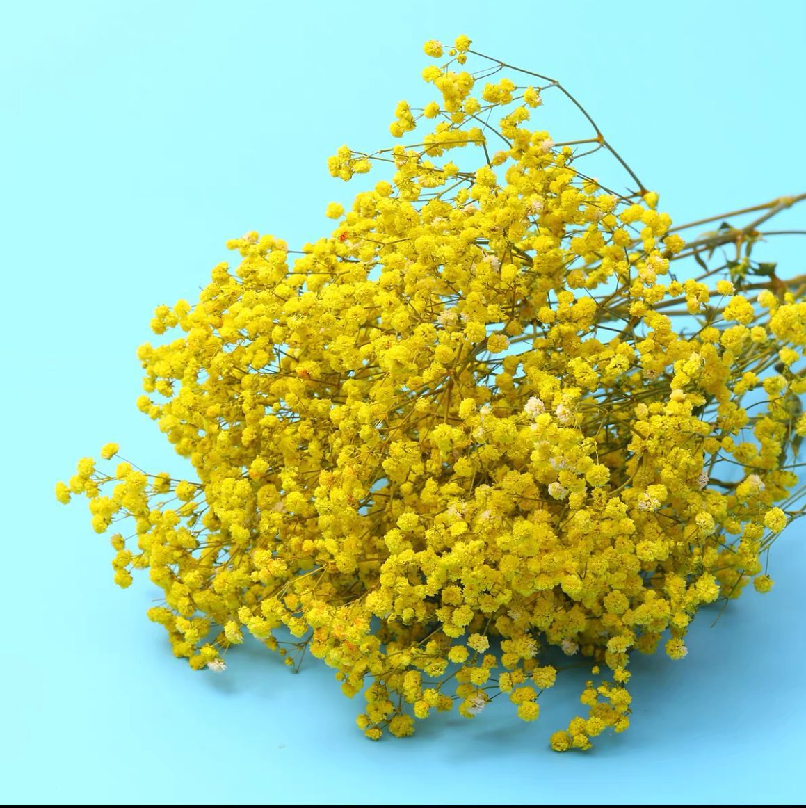 등급 A 노란색 영원한 꽃 (약 120g)