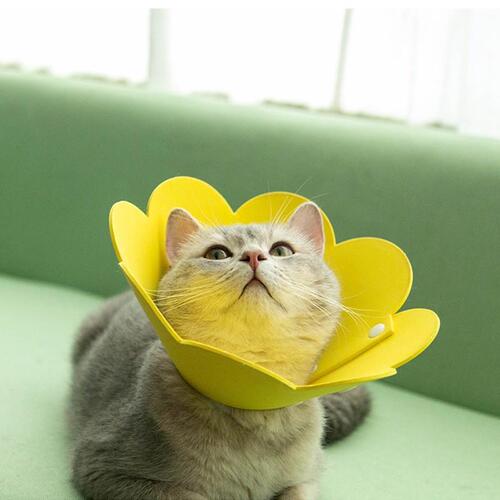 Elizabethan circle non-woven pet cat headgear sunflower snap collar anti-licking, biting and scratching sterilization circle of shame