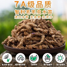 ëë�xˮ̦��̦�\ֲ�ϻ��|�I�B�������m��ʳ�x�ݺ����m��