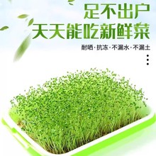 ����ѿ�lѿ�����G��ѿ�lѿ��ѿ�������P����ˮ��л�����Nֲ��