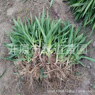 �������l��������ݱ���|���ͺ���ݻ��|���ر��޸����ܴ����