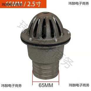Ll Self-Priming Water Pump Bottom Valve Check Valve Accessories 1.5inch 23inch Inlet Pipe Filter Mesh Basket Head Cast Iron Showerhead