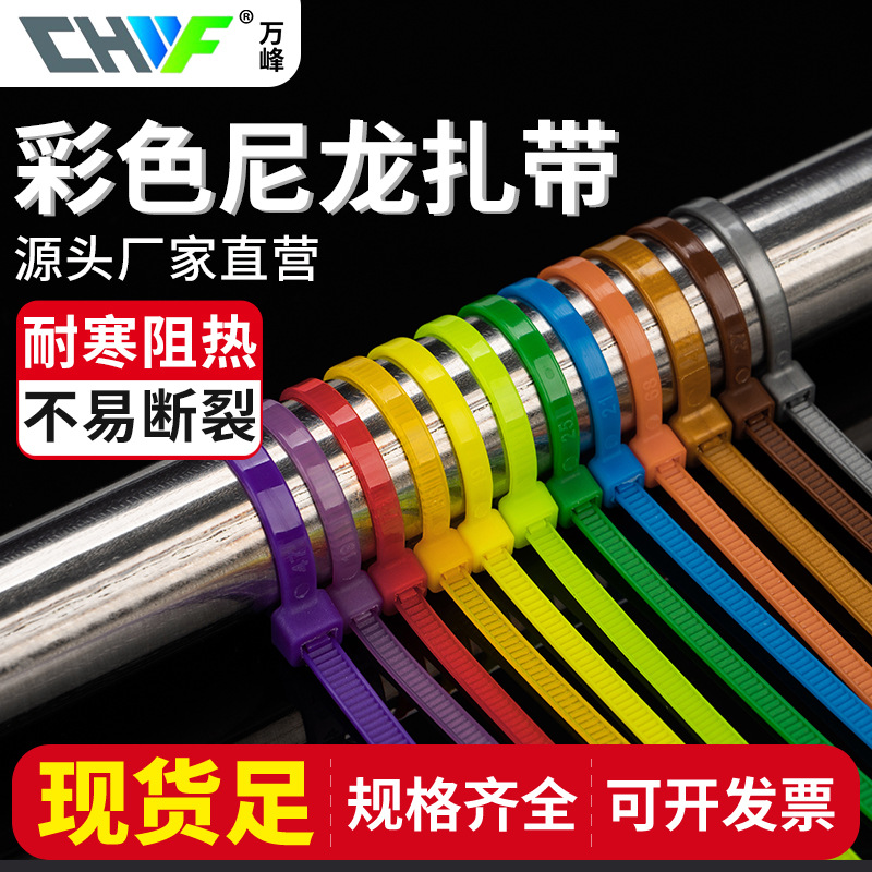 彩色尼龙扎带3*4*200*300*5*400红黄蓝绿塑料扎带束线园林捆绑带