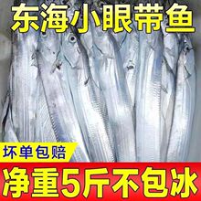 整条带鱼新鲜冷冻特级大白刀鱼钓带特大带鱼鲜活捕捞海鲜水产整箱