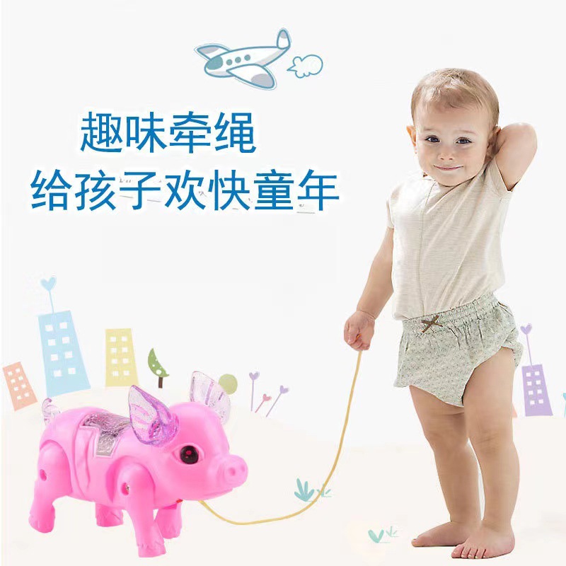 Electric rope pigs