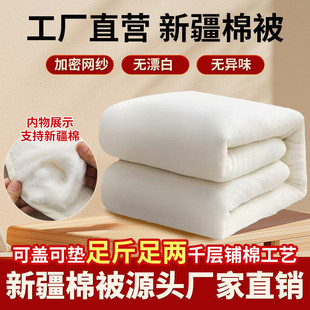 Xinjiang Cotton Quilt Winter Quilt Student Dormitory Single Quilt Quilt Core Cotton Wadding Mattress Quilt Cotton Thickened Quilt