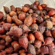 金樱子 刺榆子 刺梨子 中药材金樱子 金樱子批发金樱子