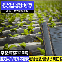 农用地膜黑色蔬菜薄膜耐老化塑料薄膜塑料布覆盖除草防冻种菜防草