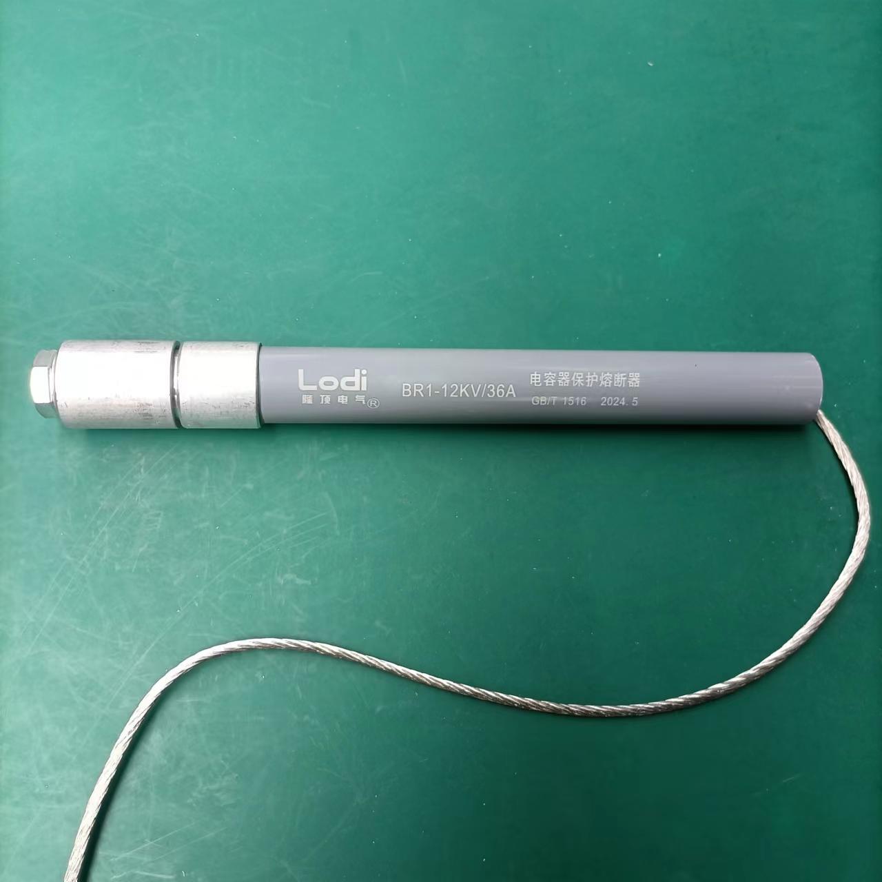 隆顶电气   引进高压电容器保护熔断器BR2 BRW BRN BRW8