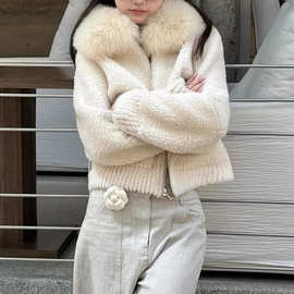 今年春秋冬新款黑色简约外套女短款加厚保暖毛一体摇粒绒毛毛上衣