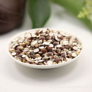 ������ș���͌��ɰ��͌��u�^���͌����Ҏ��1000��