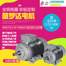 茵梦达电机SIMOTICS XP 1MB0013低压粉尘防爆电机0.55kw-90kw厂家