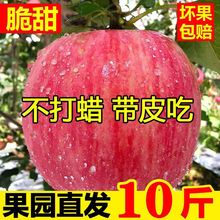 蘋果水果新鮮水果當季整箱陝西洛川丑蘋果紅富士一級脆甜10斤包郵