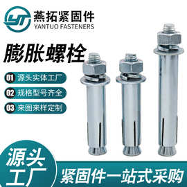 膨胀螺丝镀锌膨胀螺栓高强度滚花式外迫壁虎膨胀外迫型螺栓