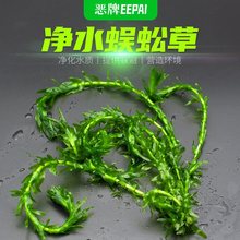 �����~��ư��Ƽˮ���쾰ˮ���Jˮܽ���ײ�ˮ�භ�~ˮ��ֲ�����