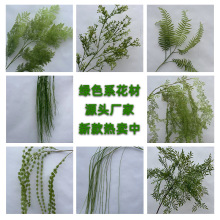 ������~�Gֲ�Ƶ��Y�b��ľGֲ�Gɫ�~�ӻ�c�����쾰����ɭ��