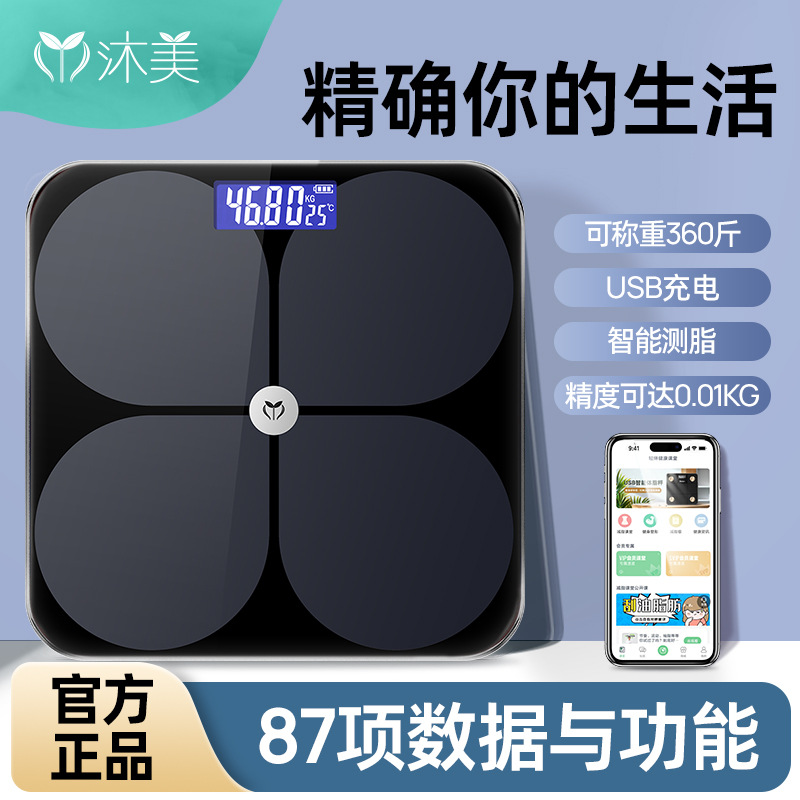 Physiological highly precise electronic scales for home use charging