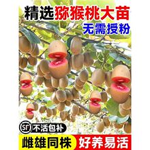 ���ګJ���Ҙ����t��ܛ������ͬ���ͺ��ش��ϱ��NֲͥԺ���Ե���