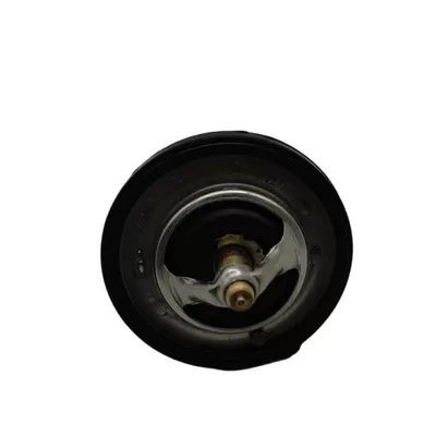 25500-2E000 Is Suitable Thermostat