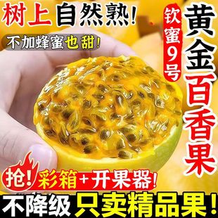 �J��9̖�S������5�������rˮ����ϏV�����ϱ����֭�羳���