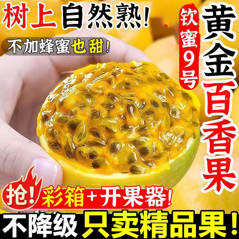 钦蜜9号黄金百香果5斤大果新鲜水果云南广西海南爆甜多汁跨境电商