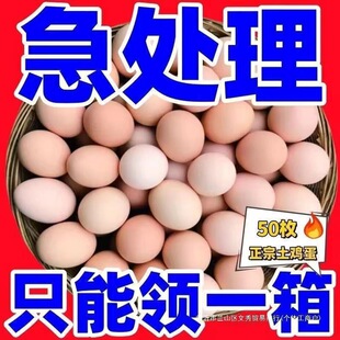 ���u����ɢ�B�r�Ҳ��u�������ͼZ�t�ı��u�����r�u��һ���l