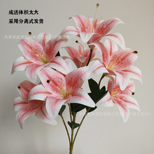 ����3D��ӡ7�^��ٺϻ���c�bٻ��쾰�zӰ����Դ�^���S���l