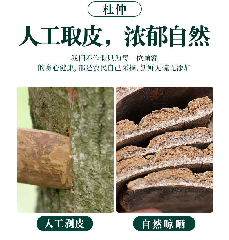 Wild Eucommia Bark 500g Du Zhong Dried Herbal Bark for Soup Wine and Tea quality and texture