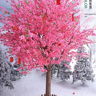 �����һ���٘����ֲ��ѻ�÷���S��̈��Ƶ�����䴺���b[��
