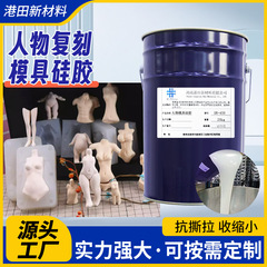源工場の人体の人物は金型のシリカゲルを復刻します。