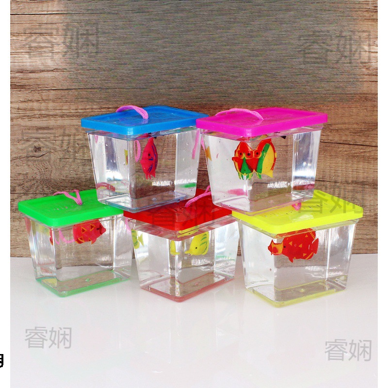 small aquarium