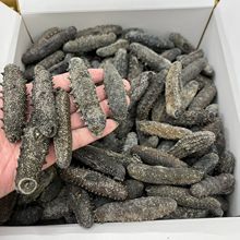 日本北海道关西参海参干货直销纯淡干辽刺参20-300头原货关西刺参