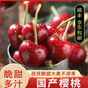 ��S�����a����2/3/5�� j-5j�����a���r����Ҵ����֭
