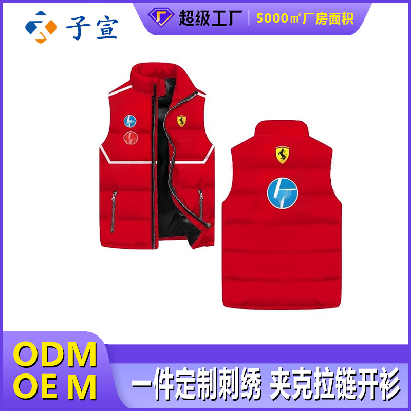 2025 Autumn and Winter Cross-Border Amazon Vest Stand Collar Team 3D Printed Casual Fashion Versatile Vest