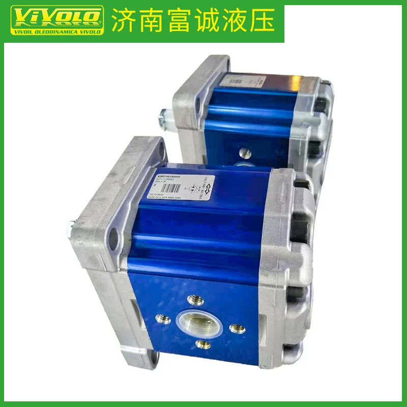 Итальянский агент VIVOLO прямые поставки гидравлической станции масляного насоса X3P8132HCCA оригинальные высокого давления Шестеренчатый насос питания