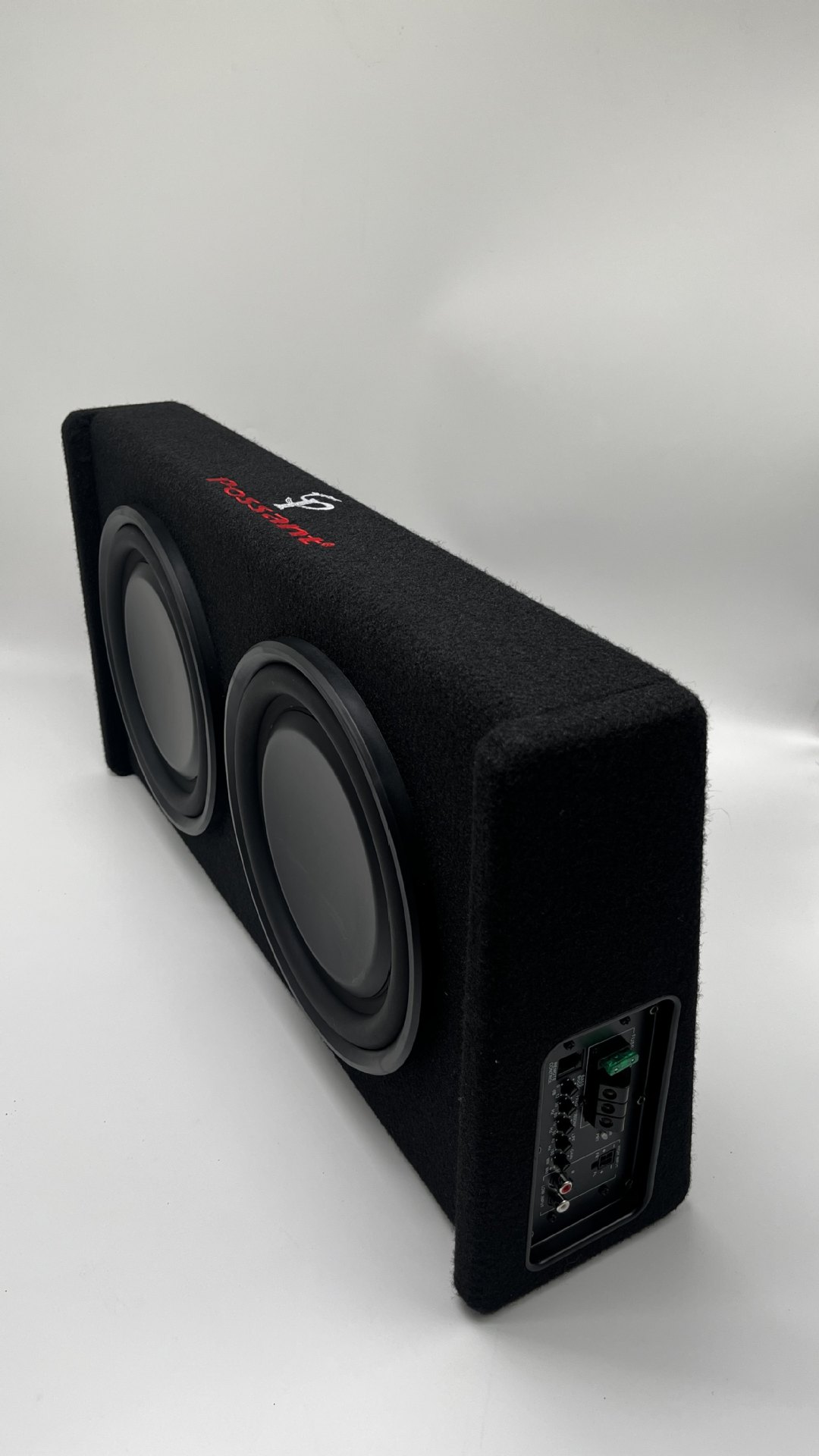 New Model 10inch Dual-Speaker Car Audio 12V Car Subwoofer High-Power Class D Digital Amplifier Active Without External Power Supply