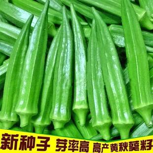 SNӴﲥN͟ͺˮN̨Դ߲˷N