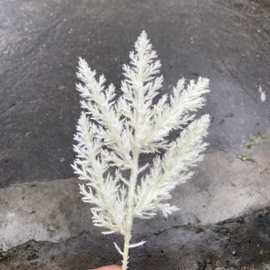 仿真植绒高粱塑胶植绒芦苇塑胶森系配件婚庆婚礼装饰假花仿真植物