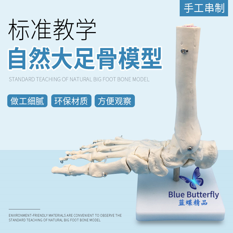 1:1�Źؽ�ģ�� �Ų�����ģ����ؽ� ��� �Ź�ģ�� �Ų����ʽṹ