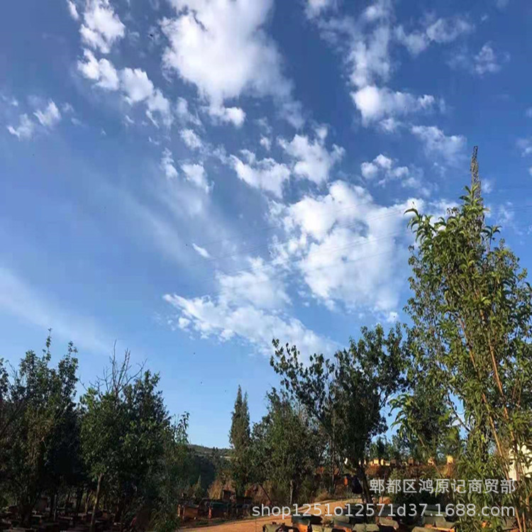 3881257eee9d0a42b01cb899fb9f89