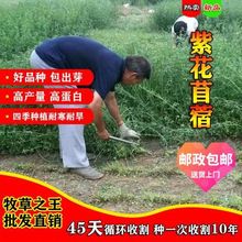 ~ϻޣNļ߮aNֲBţiuZ~